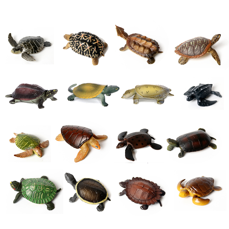 Marine Aquarium - Gerçekçi minyatürleri deniz yaşamı deniz kaplumbağası