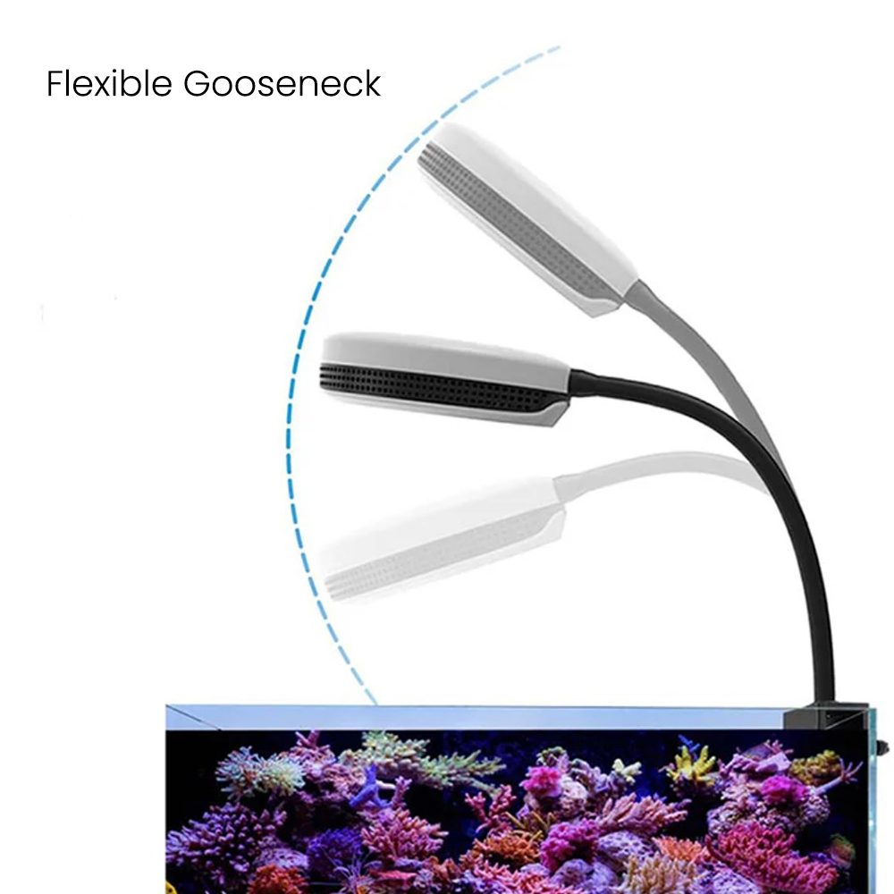Spectra SP20 20W Akvaryum LED  - Saltwater Tank incelemesi ve fiyatı