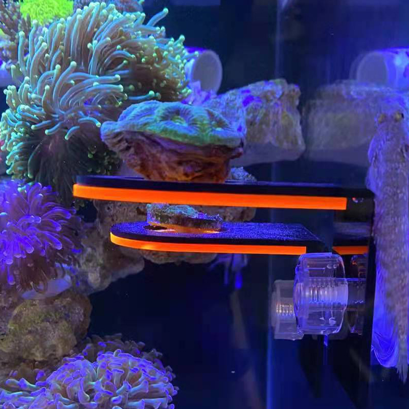 Akvaryum Akrilik Floresan Merc - Marine Coral incelemesi ve fiyatı