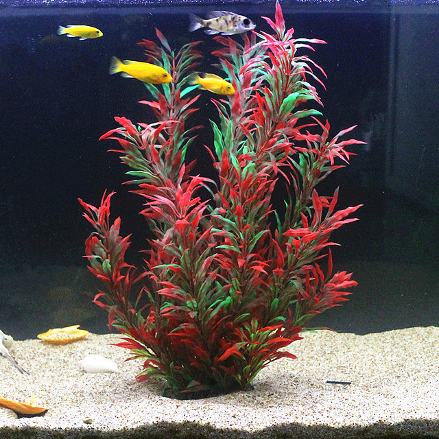 50 CM Yapay Balık Tankı Nadir  - Marine Fish Tank incelemesi ve fiyatı