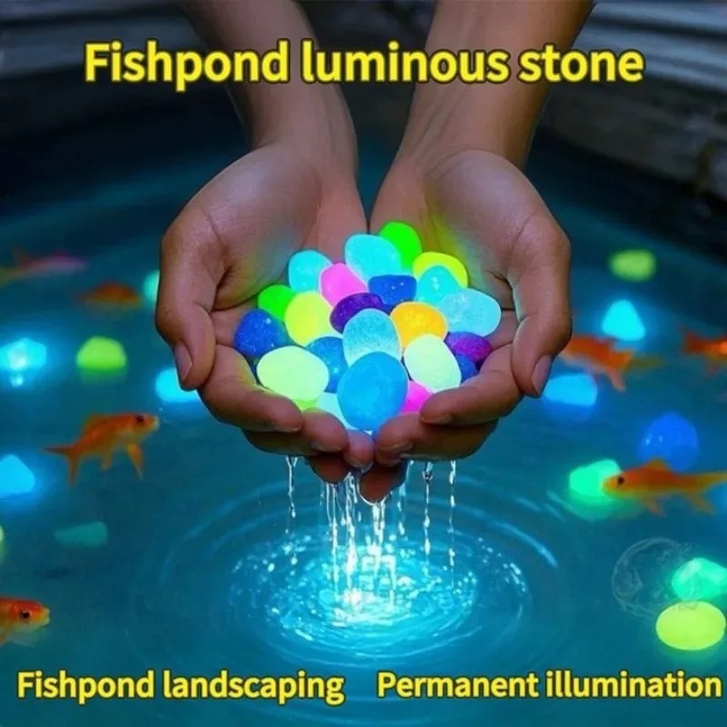 100-1000 adet aydınlık taş bah - Marine Fish Tank incelemesi ve fiyatı